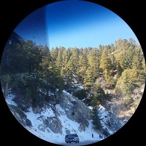 Meet your Posher, Liran